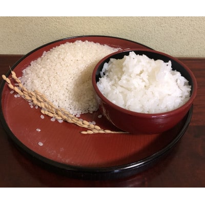 令和6年産 つや姫 精米 5kg  山形県尾花沢市産 kn-tssxb5