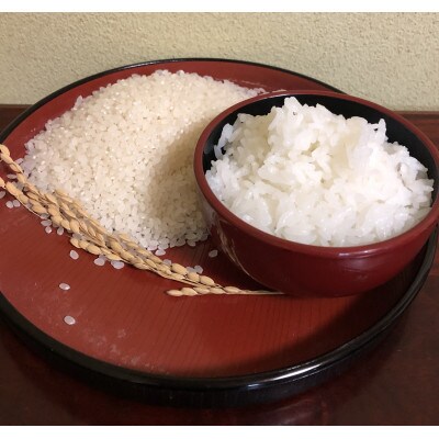 【令和4年産】尾花沢産つや姫精米(5kg×2袋)