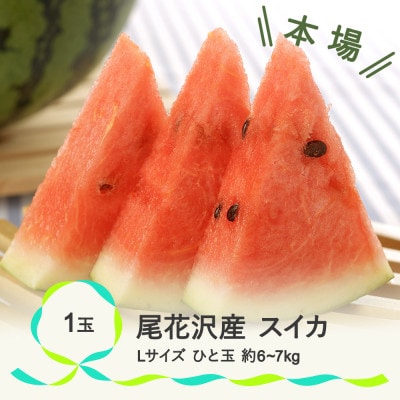 観光物産の尾花沢産Lサイズ(約6～7kg)スイカ×1