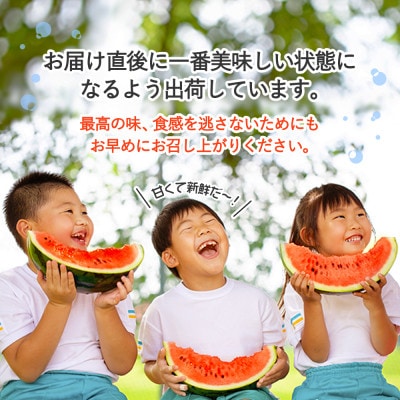 【先行受付】尾花沢産スイカ 5Lサイズ(約10kg)×2玉 令和7年産 観光物産 kb-su5xx2