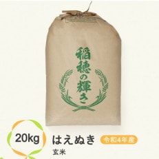 尾花沢産はえぬき玄米20キロ | ふるさと納税のお礼品
