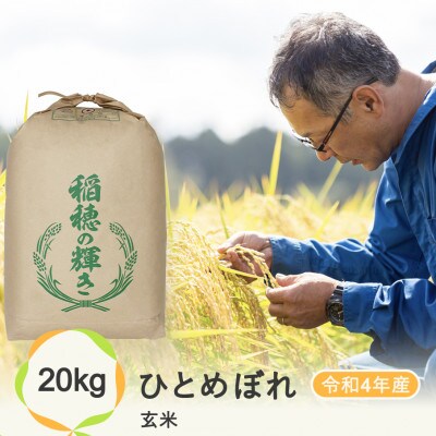 尾花沢産ひとめぼれ玄米20キロ