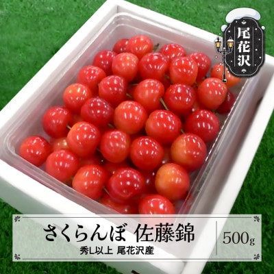 先行受付 さくらんぼ 佐藤錦 500g 秀Lサイズ以上 化粧詰め 2025年産 山形県尾花沢市産