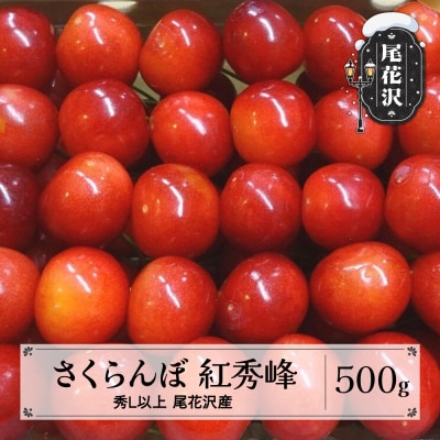 先行受付 さくらんぼ 紅秀峰 500g 秀 Lサイズ以上 化粧詰め 2025年産 山形県尾花沢市産