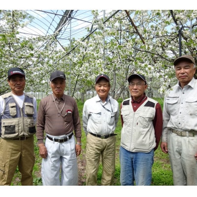先行受付 さくらんぼ 紅秀峰 500g 秀 Lサイズ以上 化粧詰め 2025年産 山形県尾花沢市産