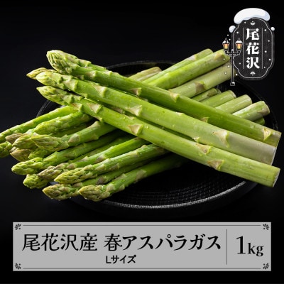 【先行受付】山形県尾花沢市産 春アスパラガス Lサイズ 1kg 2025年産
