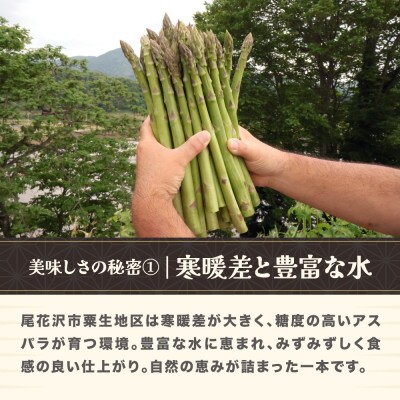 【先行受付】喜左衛門の春アスパラガス 2Lサイズ(極太) 1kg 2026年産 山形県尾花沢市産