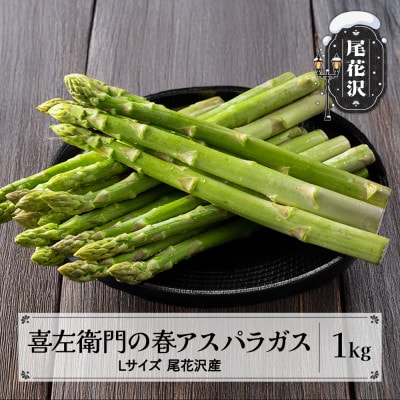 【先行受付】喜左衛門の春アスパラガス Lサイズ 1kg 2025年産 山形県尾花沢市産