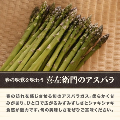 【先行受付】喜左衛門の春アスパラガス Lサイズ 1kg 2026年産 山形県尾花沢市産