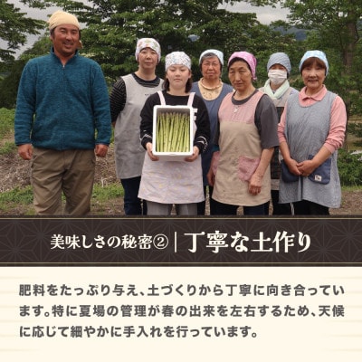 【先行受付】喜左衛門の春アスパラガス Lサイズ 1kg 2026年産 山形県尾花沢市産