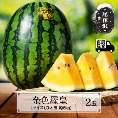 【先行受付】黄色スイカ 金色羅皇 Lサイズ 約6kg×2玉 令和7年産 kb-sukr12
