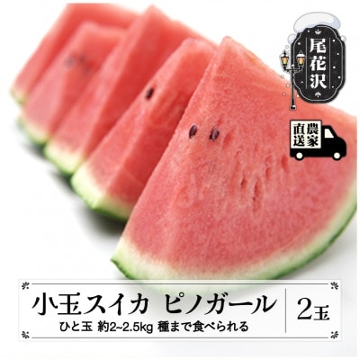 【先行受付】小玉スイカ ピノガール (約2～2.5kg)×2玉 令和7年産 kb-supgx2