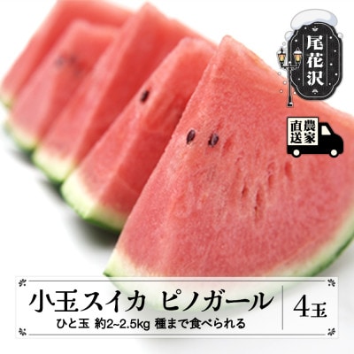 【先行受付】小玉スイカ ピノガール (約2～2.5kg)×4玉 令和7年産 kb-supgx4