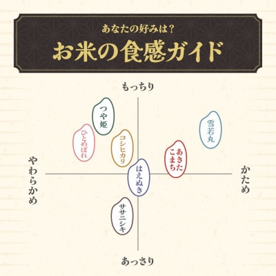 令和7年産  精米 はえぬき 10kg 5kg×2袋 山形県尾花沢市産 kn-hasxa10