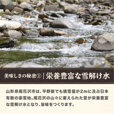 令和7年産  精米 ひとめぼれ 10kg 5kg×2袋 山形県尾花沢市産 kn-hisxa10