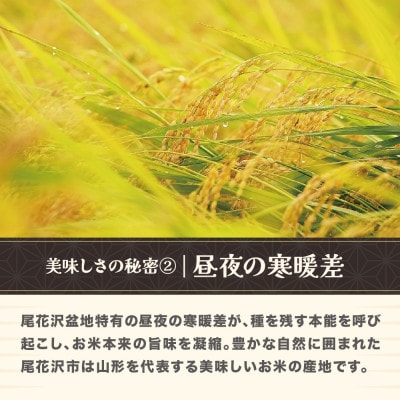 令和7年産  精米 ひとめぼれ 10kg 5kg×2袋 山形県尾花沢市産 kn-hisxa10