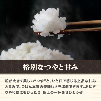 令和7年産  精米 つや姫 5kg 山形県尾花沢市産 kn-tssxa5