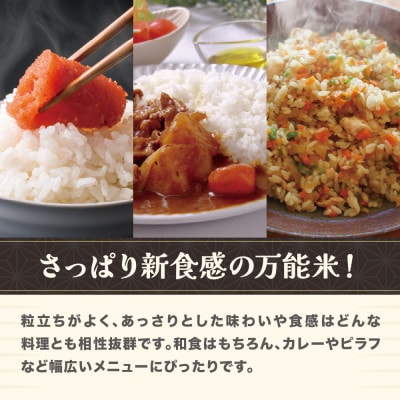 令和7年産  精米 雪若丸 5kg 山形県尾花沢市産 kn-ywsxa5