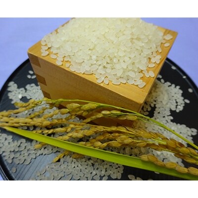 2020年2月発送開始『定期便』 尾花沢産 令和元年産「つや姫」精米10kg 全3回