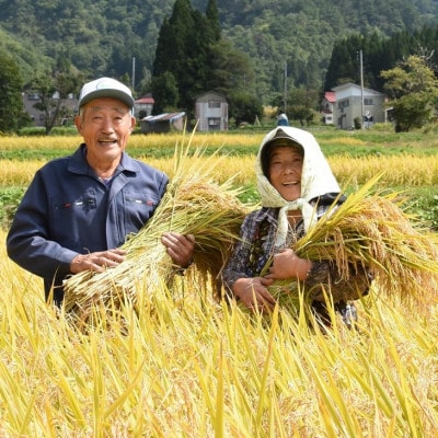 【令和6年産】玄米10kg(5kg×2) 棚田米『雪きらり』尾花沢市中刈産