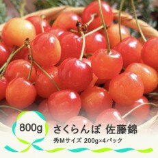 さくらんぼ 佐藤錦 秀Mサイズ 800g(200gx4パック) フードパック 2023年産 山形県産