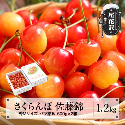 さくらんぼ 佐藤錦 秀Mサイズ 1.2kg(600g×2箱) バラ詰め 2026年産 山形県産
