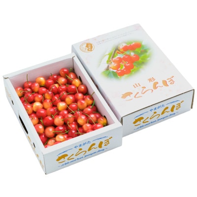 さくらんぼ 佐藤錦 秀Mサイズ 1.2kg(600g×2箱) バラ詰め 2026年産 山形県産