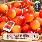 さくらんぼ 佐藤錦 秀Lサイズ 1kg(500g×2パック) バラ詰め 2026年産 山形県産