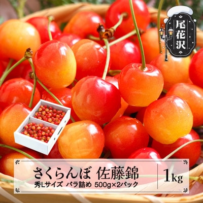 さくらんぼ 佐藤錦 秀Lサイズ 1kg(500g×2パック) バラ詰め 2026年産 山形県産