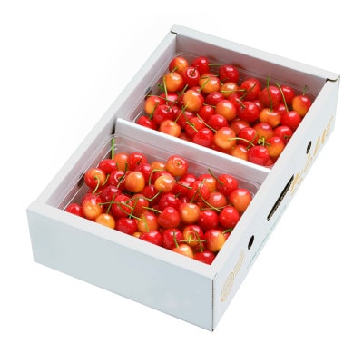 さくらんぼ 佐藤錦 秀Lサイズ 1kg(500g×2パック) バラ詰め 2026年産 山形県産