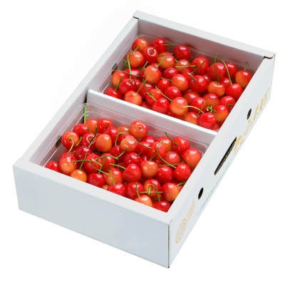 さくらんぼ 紅秀峰 秀Lサイズ 1kg (500gx2パック) バラ詰め 2026年産 山形県産