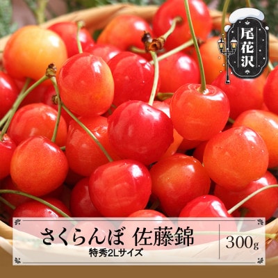 先行受付 さくらんぼ 佐藤錦 特秀2Lサイズ 300g 化粧箱鏡詰め 2025年産
