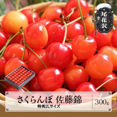 先行受付 さくらんぼ 佐藤錦 特秀2Lサイズ 300g 化粧箱鏡詰め 2026年産