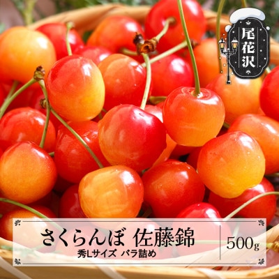 さくらんぼ 佐藤錦 秀Lサイズ 500g バラ詰め 2026年産 山形県産