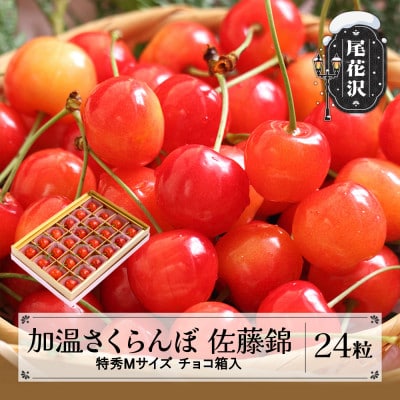 先行受付 加温 さくらんぼ 佐藤錦 特秀Mサイズ 24粒 120g チョコ箱入 2026年産 山形県