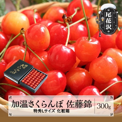 先行受付 加温 さくらんぼ 佐藤錦 特秀Lサイズ 300g 化粧箱鏡詰め 2026年産 山形県産