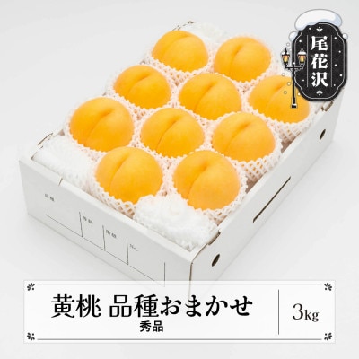有袋黄桃 秀品 品種おまかせ3kg 化粧箱入 令和6年産 山形県産  ns-mootx3
