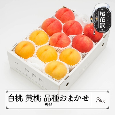 白桃&有袋黄桃 秀品 品種おまかせ 3kg 化粧箱入 令和7年産 山形県産 ns-mohot3