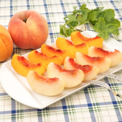 白桃&有袋黄桃 秀品 品種おまかせ 2kg 化粧箱入 令和8年産 山形県産 ns-mohot2