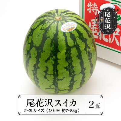 先行受付 尾花沢スイカ 2～3Lサイズ(約7～8kg)×2玉 令和7年産 ns-su23x2