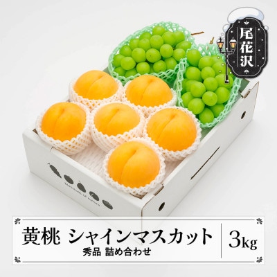 先行受付 有袋黄桃 シャインマスカット 秀品 詰め合わせ 計3kg 令和8年産 山形県産