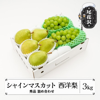 先行受付 シャインマスカット 西洋梨 秀品 詰め合わせ 計3kg 令和8年産 山形県産