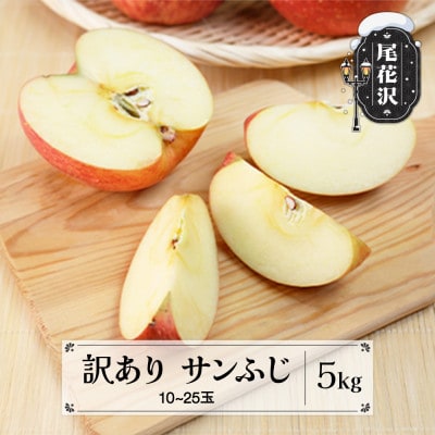 訳あり りんご サンふじ 5kg 令和7年産 ns-risfw5