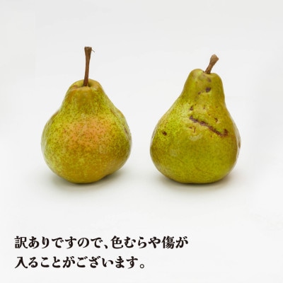 訳あり ラ・フランス 5kg 令和7年産 ns-laxxw5