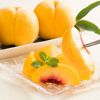 先行受付 有袋黄桃 秀品 品種おまかせ 5kg 化粧箱入 令和8年産 山形県産 ns-mootx5