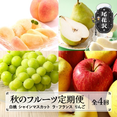 【発送月固定定期便】山形 秋のフルーツ定期便 白桃 シャインマスカット ラ・フランス りんご全4回