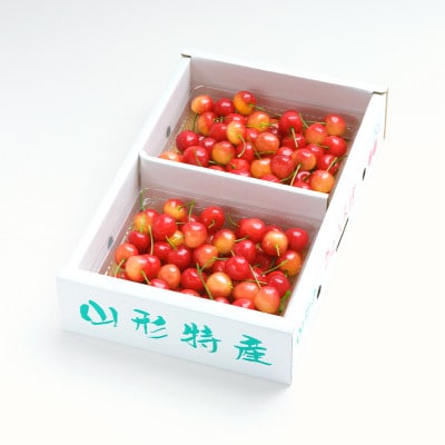 【発送月固定定期便】フルーツ定期便 ラフランス りんごさくらんぼ 尾花沢スイカ 桃  山形県産全5回