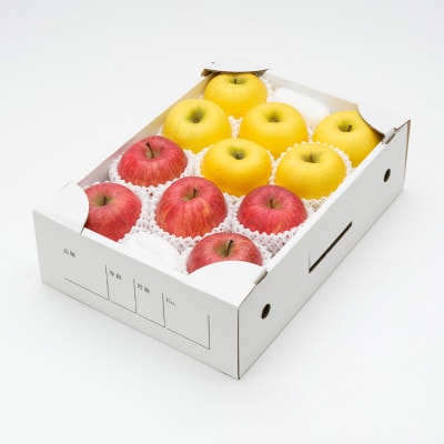 【発送月固定定期便】フルーツ定期便 さくらんぼ 尾花沢スイカ 桃 ラフランス りんご 山形県産全5回