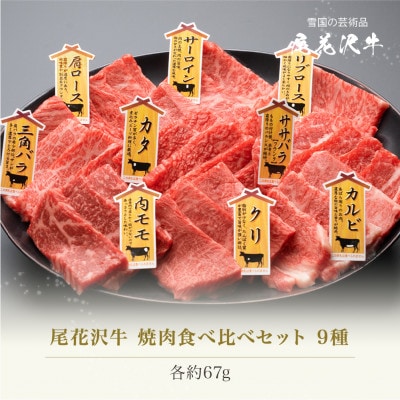 尾花沢牛 A4-5 焼肉食べ比べセット 9種 約3～4人前 サーロイン カルビ モモ などをお届け