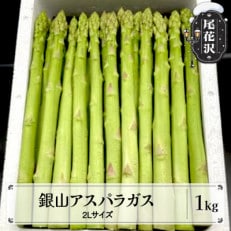 [銀山アスパラガス・2Lサイズ/1KG ]山形県尾花沢市産